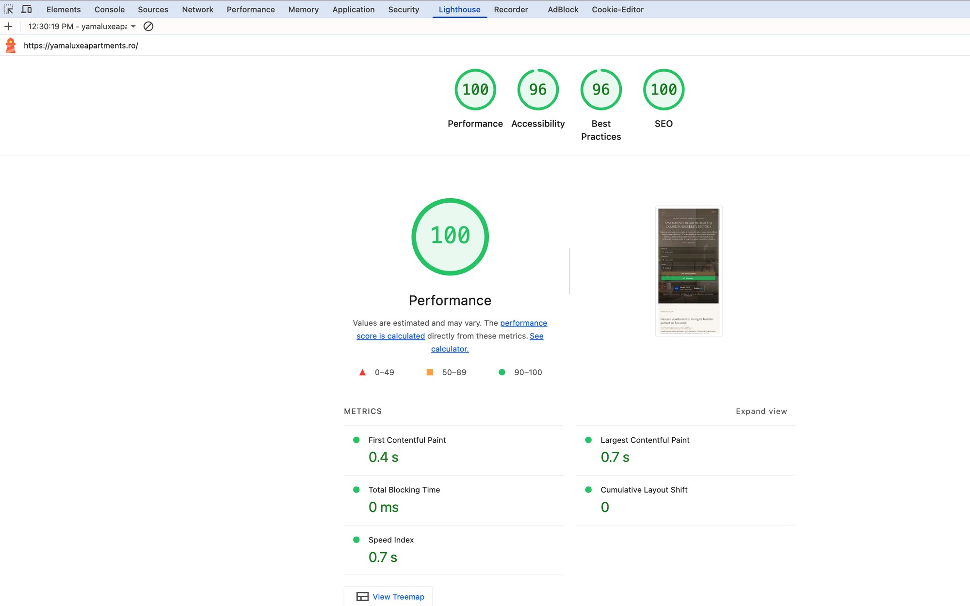 Lighthouse audit of the live YamaLuxe Apartments site scoring 100 for performance and 100 for SEO
